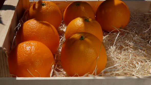 Hand Puts Ripe Juicy Oranges in a Wooden Box