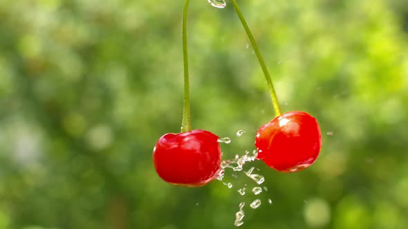 Two Cherries Collide In The Air With Water Splashes 4k