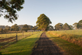 Farm Walking Track - PhotoDune Item for Sale