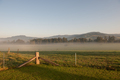 Farmland Fog - PhotoDune Item for Sale