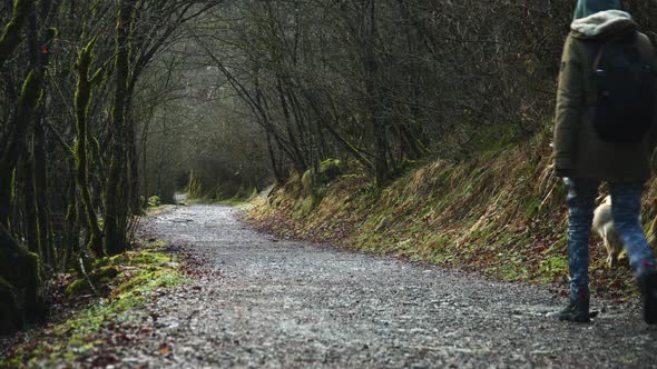 Beautiful Graverl Roads In The Forest And A Girl With A Dog