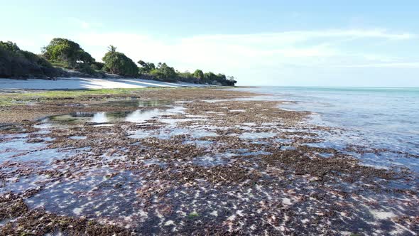 Shore of Zanzibar Island Tanzania at Low Tide Slow Motion