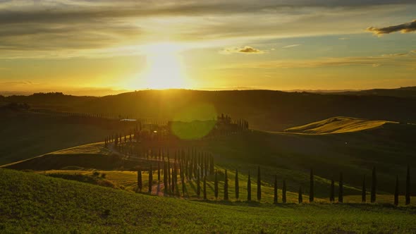 Tuscany Landscape Road Cypresses Hill Sunset