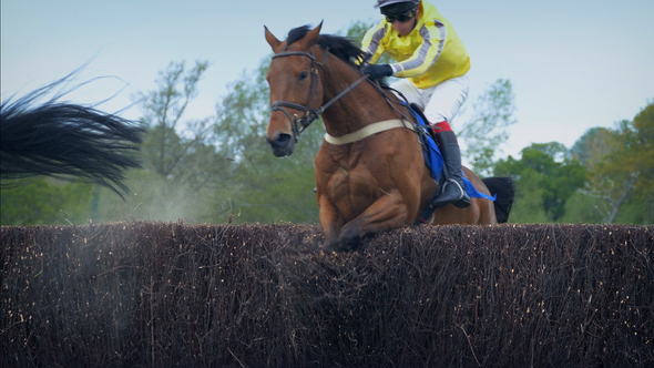 Horses Jump Over Fence Front View