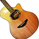 Acoustic Gypsy Guitar