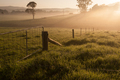 Farm gate on a foggy morning - PhotoDune Item for Sale