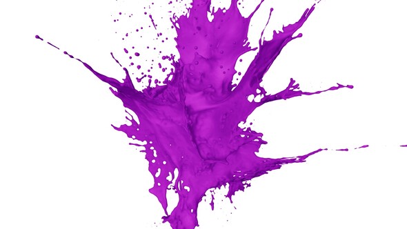 Purple Paint Explosion