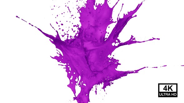 Purple Paint Explosion 4K