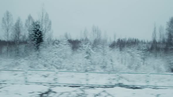 Moving Along Frozen Woods, Winter Cold Countryside Landscape, Snow and Ice. Pov Tracking Shot From