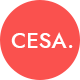 Cesa - Gutenberg WooCommerce WordPress Theme - ThemeForest Item for Sale
