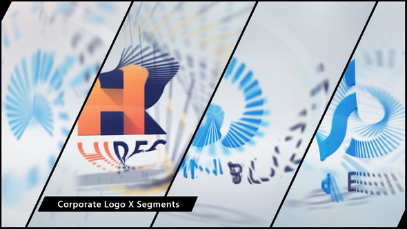 Corporate Logo X Segments