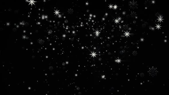 Magic Snowflakes Black And White