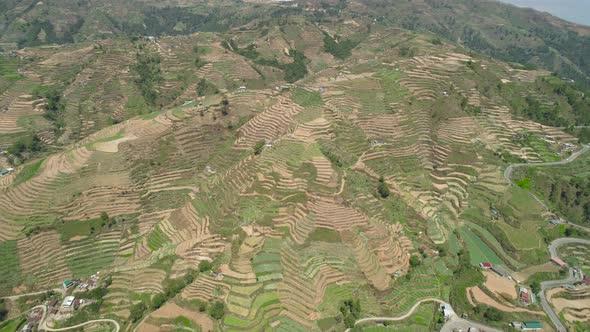 Farmland in a Mountain Province Philippines, Luzon