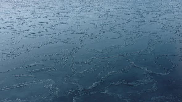 Sea Ice