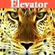 The Elevator Music