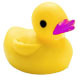 Rubber Toy Duck