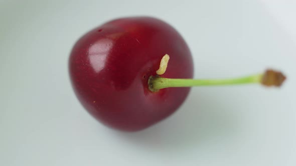 Larva Worm Crawls Along Smooth Surface of Ripe Large Red Cherry with Stalk