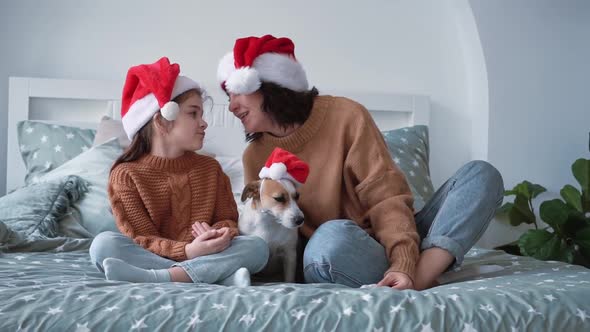 Happy Woman in Santa Hat with Girl Daughter and Smiling Jack Russell Terrier Dog Sit on Beautiful