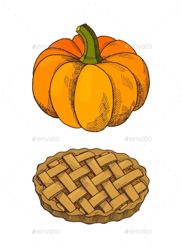 Pumpkin Vegetable and Baked Pie Icons Set Vector