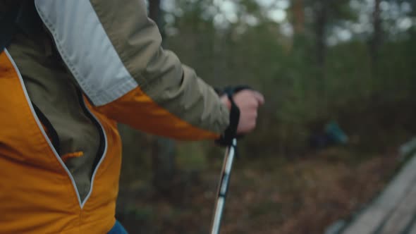 Closeup view of hiker walking through forest on wooden path. Holding trekking stick in right hand