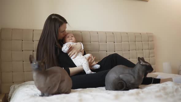 Two Sphynx Cat Guardians Sit Near Mother with Baby Toddler