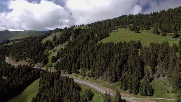 Flight in the valley above fir trees