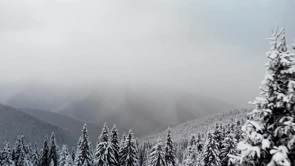 Flying Above Winter Forest in Mountain Valley