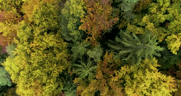 Beautiful drone video above the surroundings of Regensburg