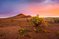 Desert Sunset - PhotoDune Item for Sale