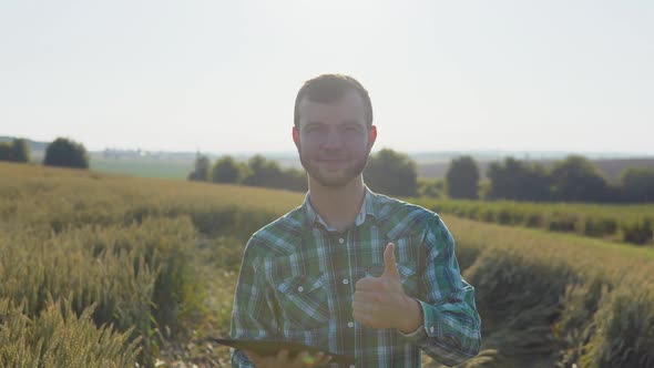 A Young Farmer Agronomist with a Beard Stands in a Field of Wheat Under a Clear Blue Sky and Holds