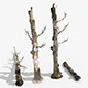 Dead Trees Collection - 3DOcean Item for Sale