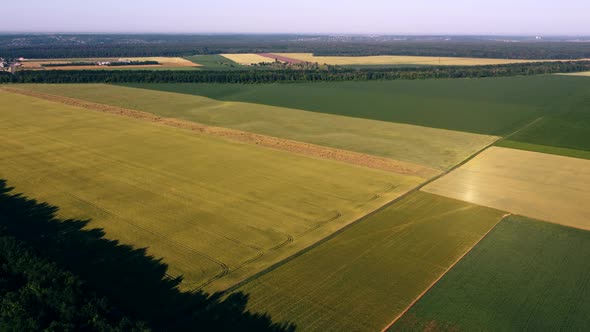 Aerial Drone View Flight Over Different Agricultural Fields Sown