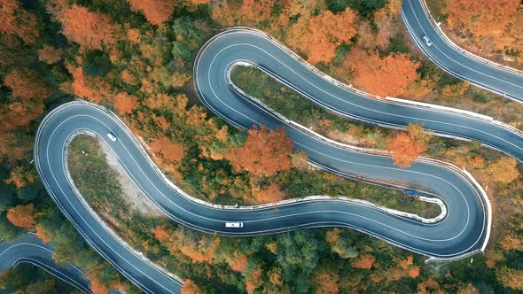 Aerial view of curving road through colorful autumn forest