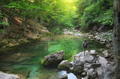 Man and spring lake in green forest - PhotoDune Item for Sale
