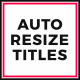 Auto Resize Titles - VideoHive Item for Sale