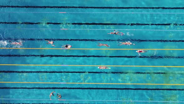 Aerial View of Group of Swimmers Training in Swimming Pool
