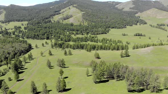 Green Meadows in The Sparsely Wooded Between Forest Covered Hills with Aerial View