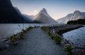 Sun rays on Milford Sound - PhotoDune Item for Sale