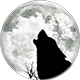 Plastic Bag