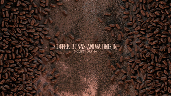 Coffee Beans