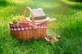 Picnic basket with raspberries, grapes, baguette and wine glasses - PhotoDune Item for Sale