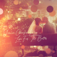 Brush Particle  Wedding Slideshow - VideoHive Item for Sale