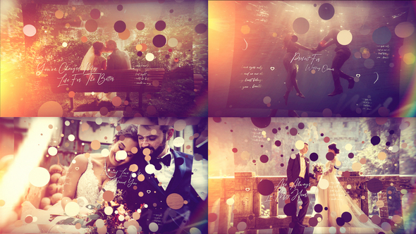 Brush Particle  Wedding Slideshow alt