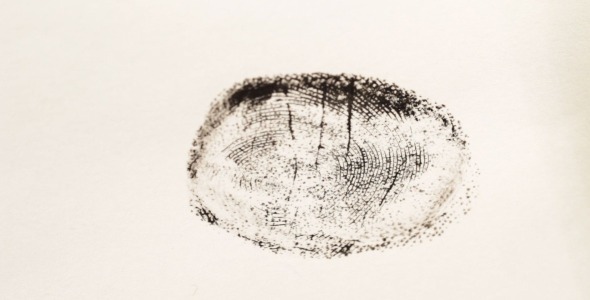 Investigating Fingerprints