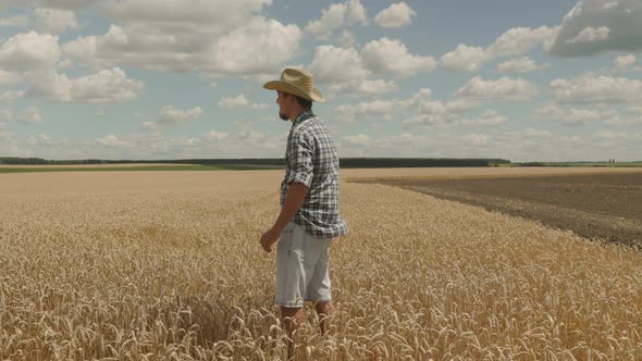 A man farmer in a straw hat staying on a wheat field and looks around