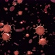 Corona Virus 2019-nCov and Red Blood Cells Floating - VideoHive Item for Sale