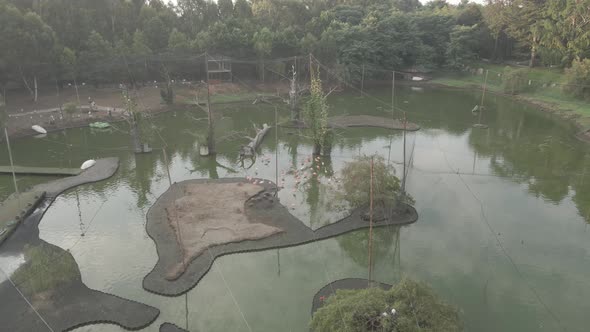 Aerial view of Dendrological Park in Shekvetili village, Georgia