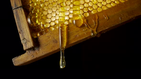 Thick Golden Honey Flowing and Spills Over Wooden Frame with Honeycombs