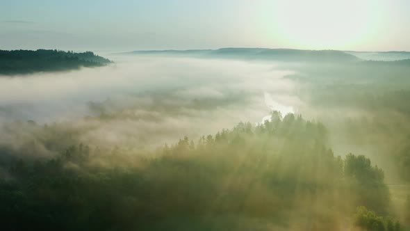 Dramatic misty morning sun rays filtering through cloudy forest, aerial view