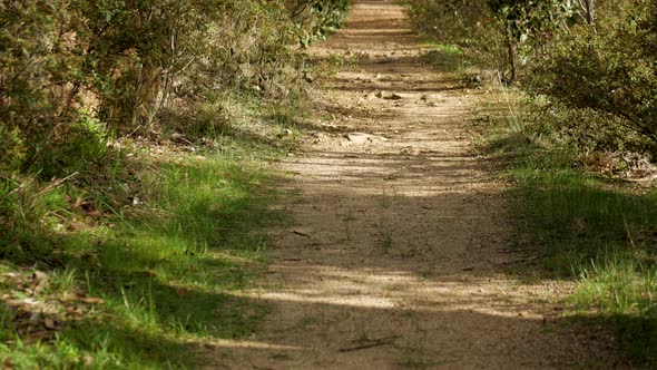 Straight stretch of hiking track in the Australian Outback TILT UP